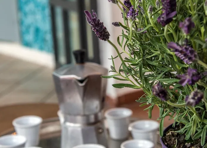 Apartment Relais Tribunali With Panoramic Terrace *