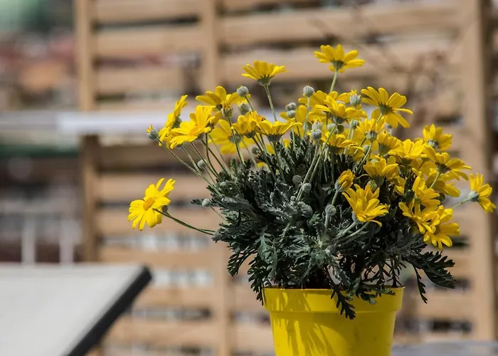 Relais Old From A Terrace *